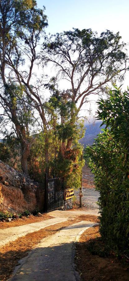 Casa Ollagua Hotel Vicuña Buitenkant foto