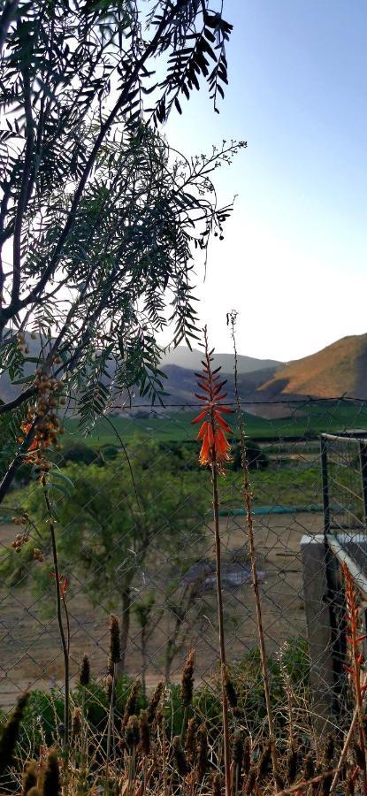 Casa Ollagua Hotel Vicuña Buitenkant foto